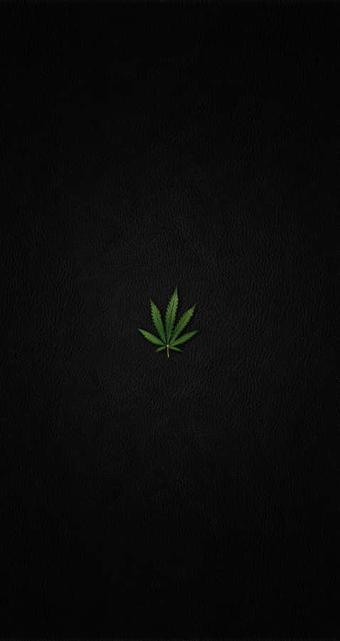 Cannabis Papel de Parede