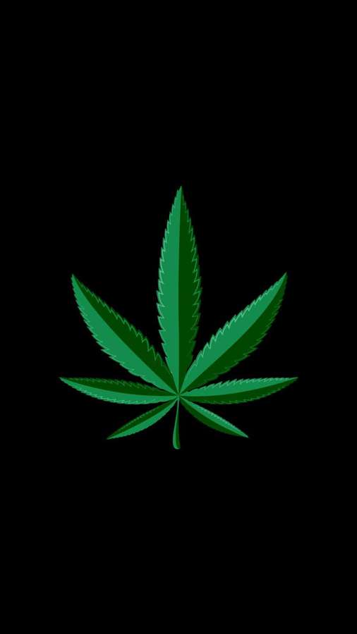 A green cannabis leaf on a black background. — Cannabis Leaf Background