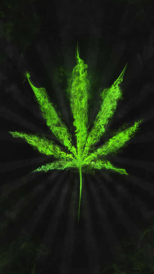 Cannabis Leaf Billeder