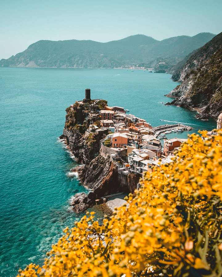 Küstendorf an der Klippe mit türkisfarbenem Meer und gelben Blumen im Vordergrund — Capri Bilder