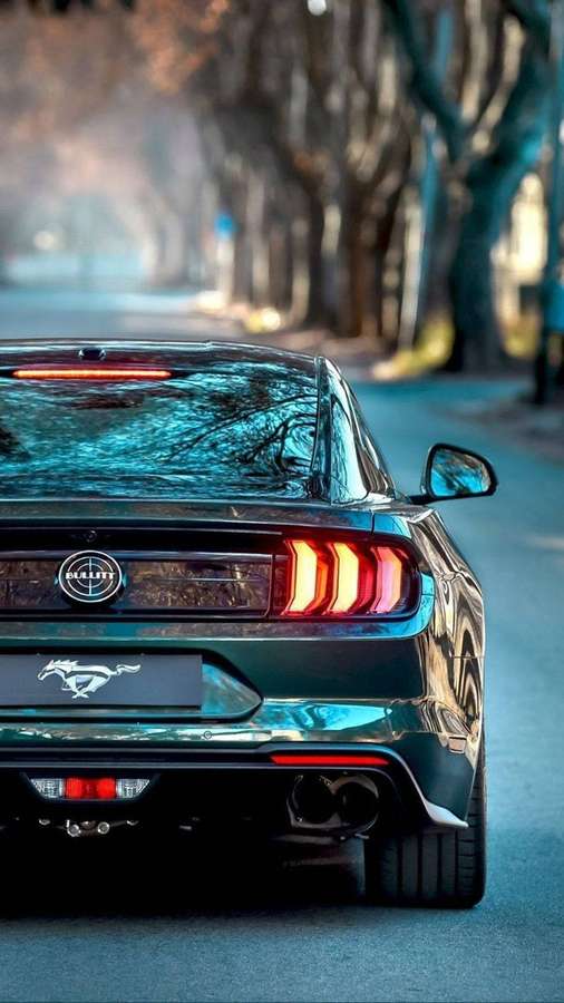 Vista traseira de um Ford Mustang verde escuro em uma rua arborizada ao entardecer. — Carro HD Papéis de Parede