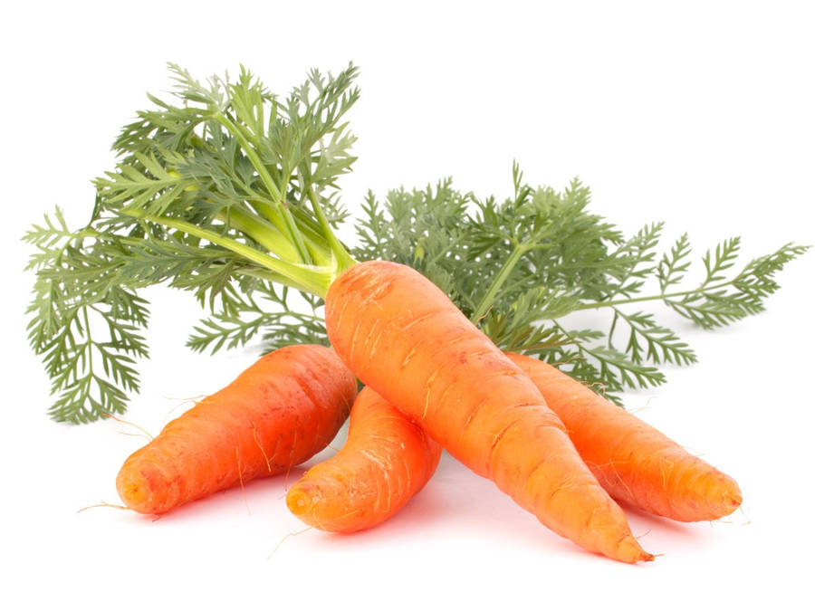Carrot Background Wallpaper