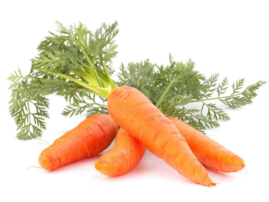 Fresh orange carrots with green tops on white background — Carrot Wallpaper