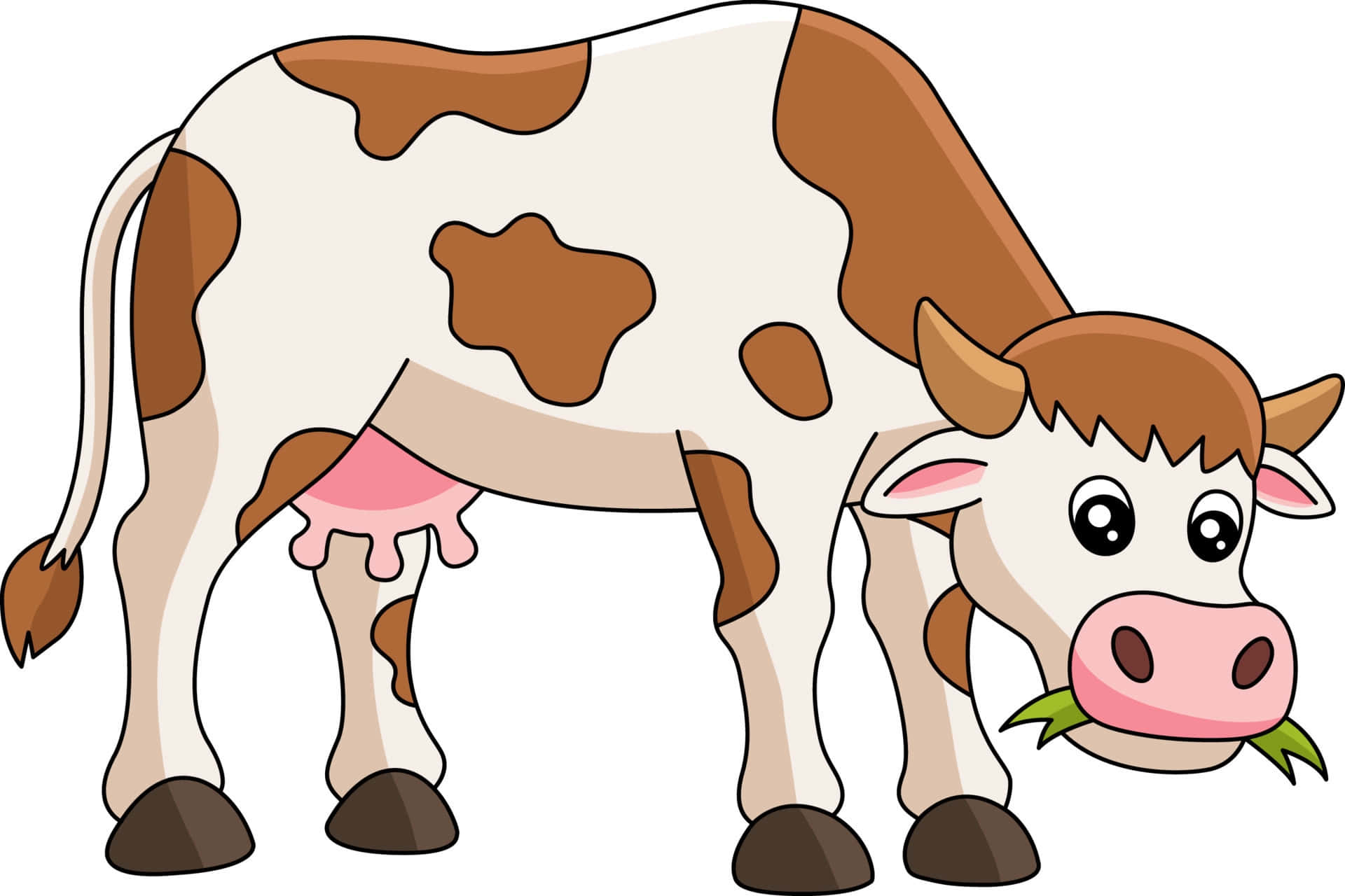 Cartoon Cow Billeder