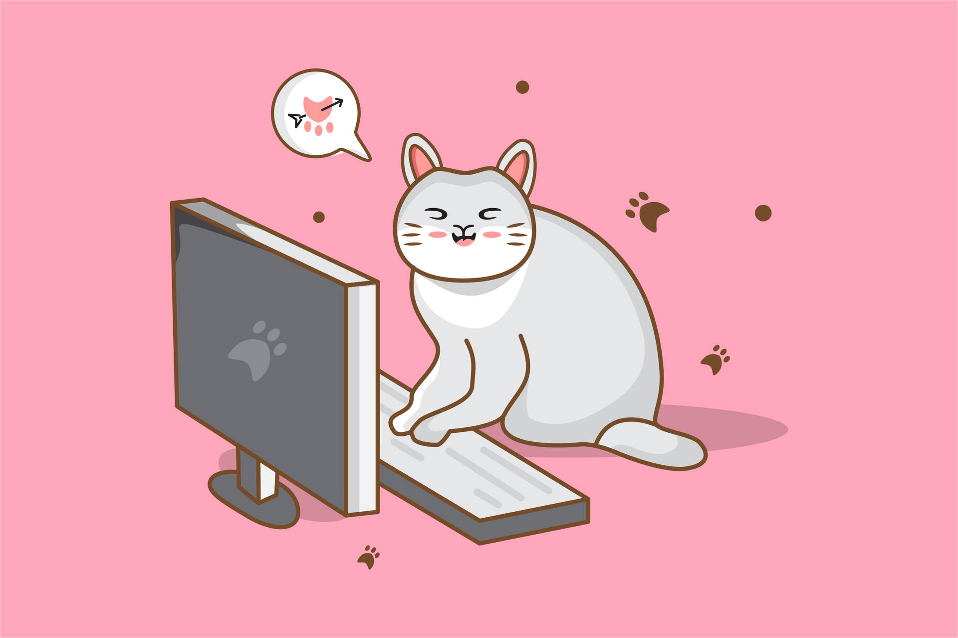 Cat Computer Billeder