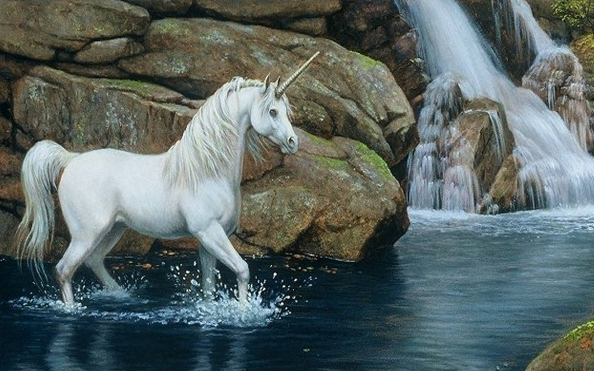 Cavallo Bianco Sfondo