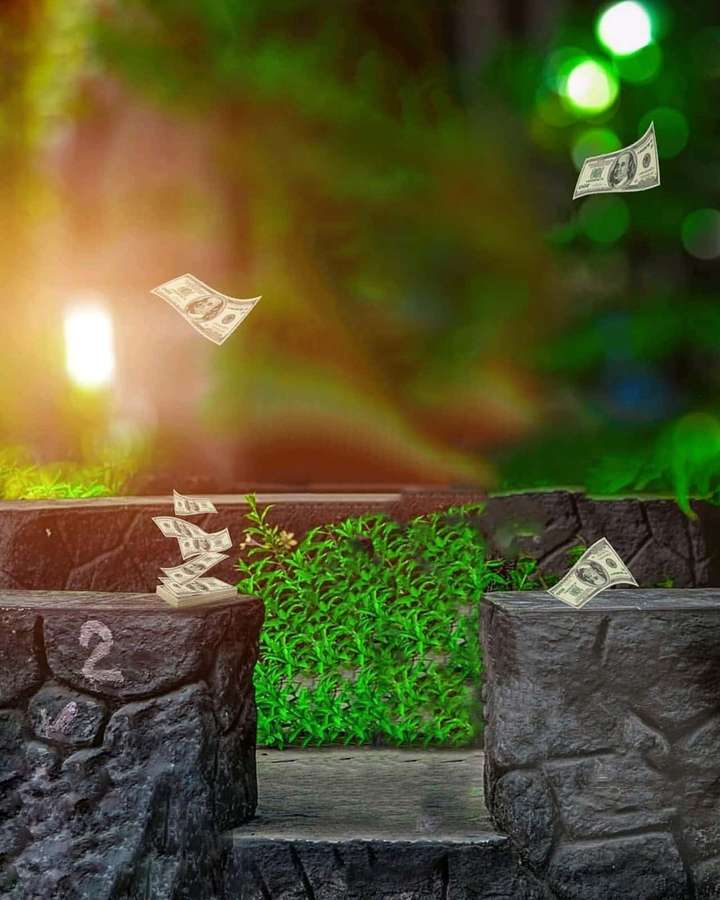Dollar bills floating in a sunlit forest between numbered stone platforms. — Cb Background