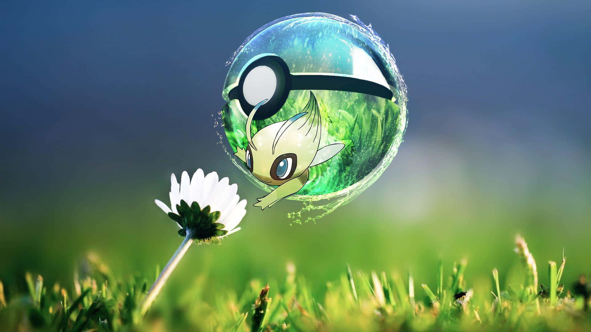 Celebi Papel de Parede