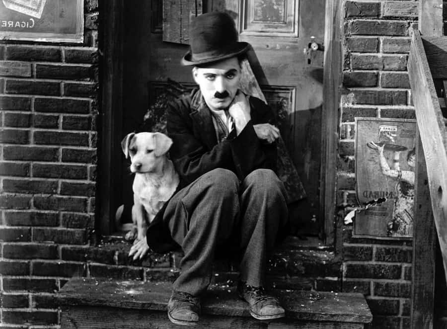 Chaplin with his dog sitting on a brick stoop in a vintage black and white photo. — Charlie Chaplin Wallpaper