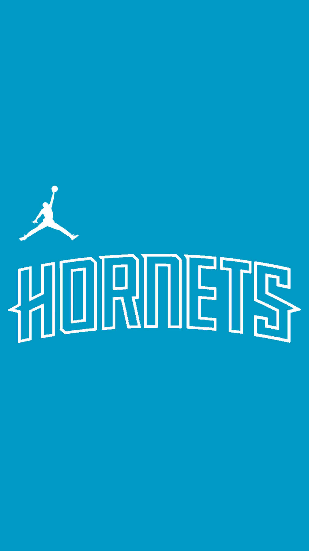Charlotte Hornets Bakgrund