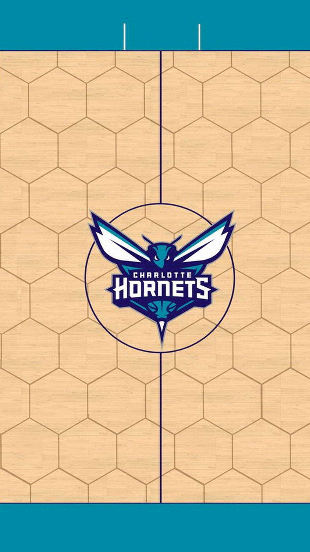 Charlotte Hornets Achtergrond