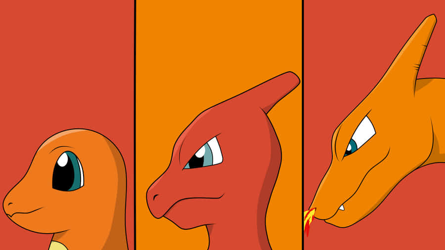 Charmander Lucu Wallpaper
