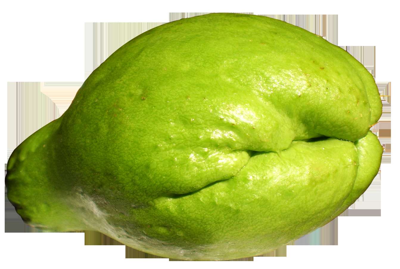 A ripe green guava with textured skin and a glossy finish. — Chayote Background