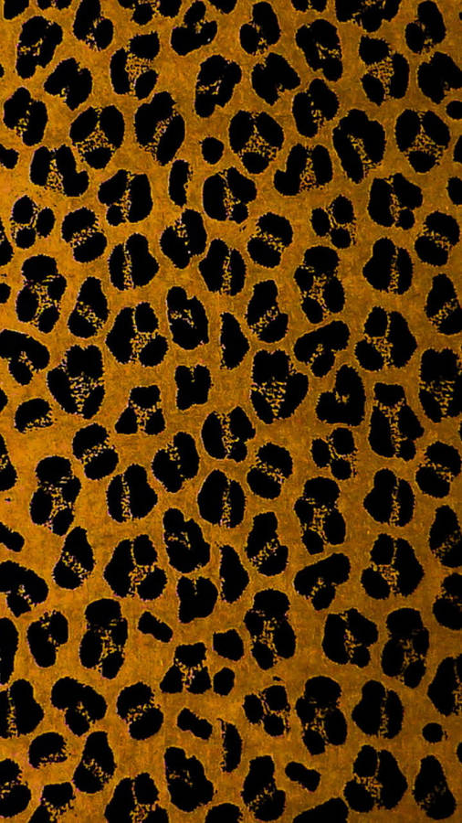 Cheetah Bilder Drucken