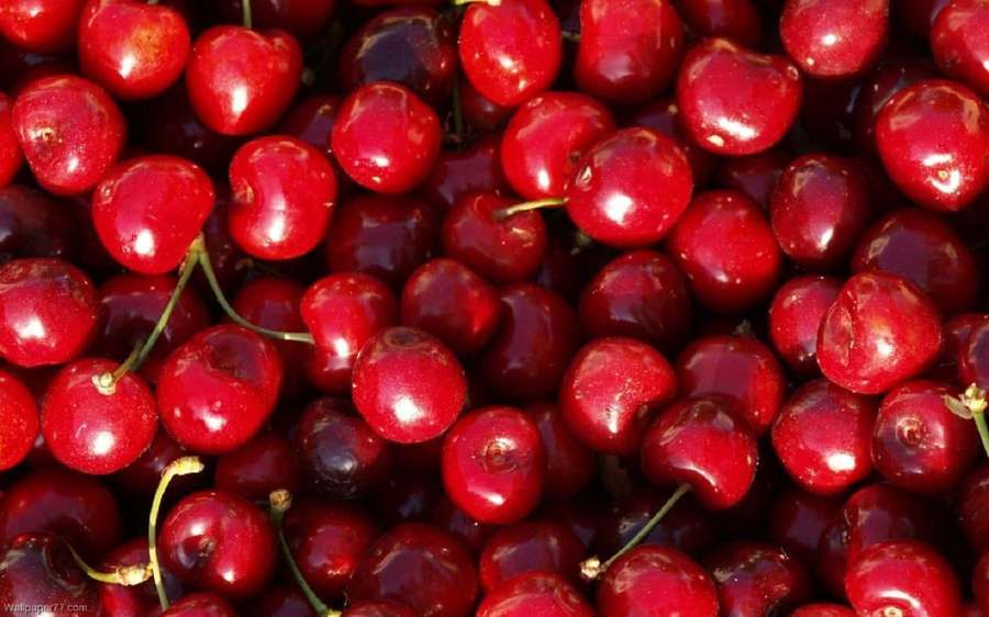 A pile of shiny red cherries with green stems. — Cherry Background