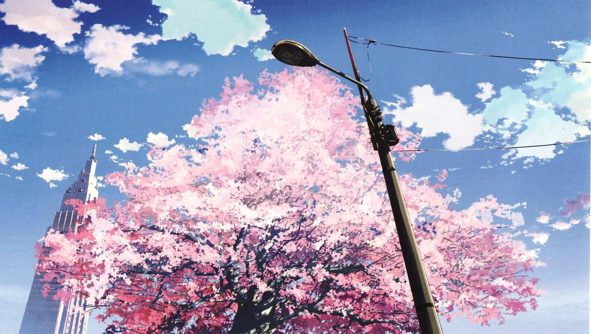 Cherry Blossom Tree Anime Wallpaper