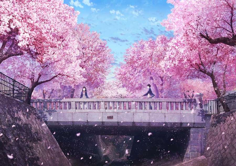 Two people on a stone bridge under pink cherry blossoms with petals falling. — Cherry Blossom Tree Background