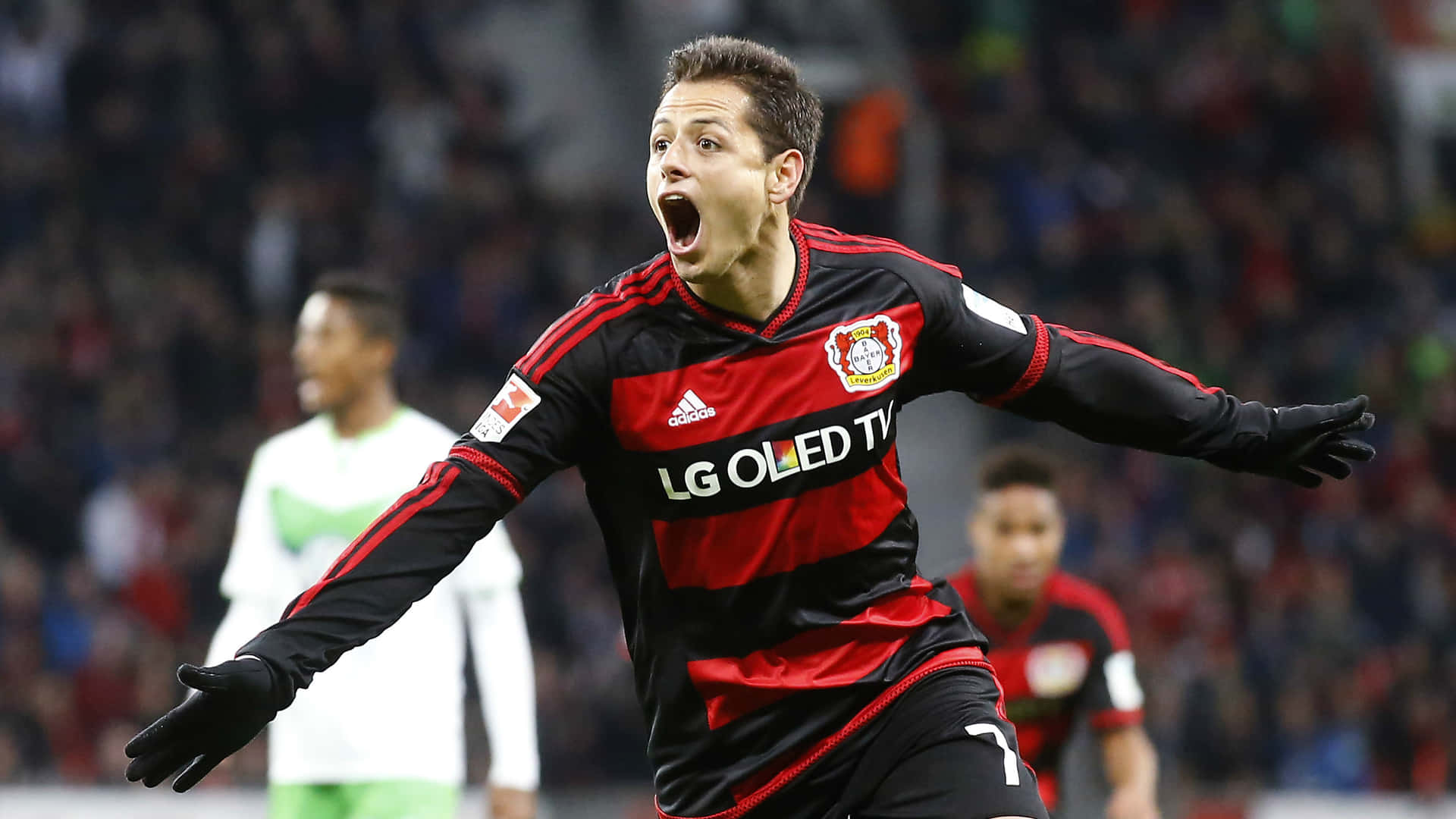 Chicharito Fond d'écran