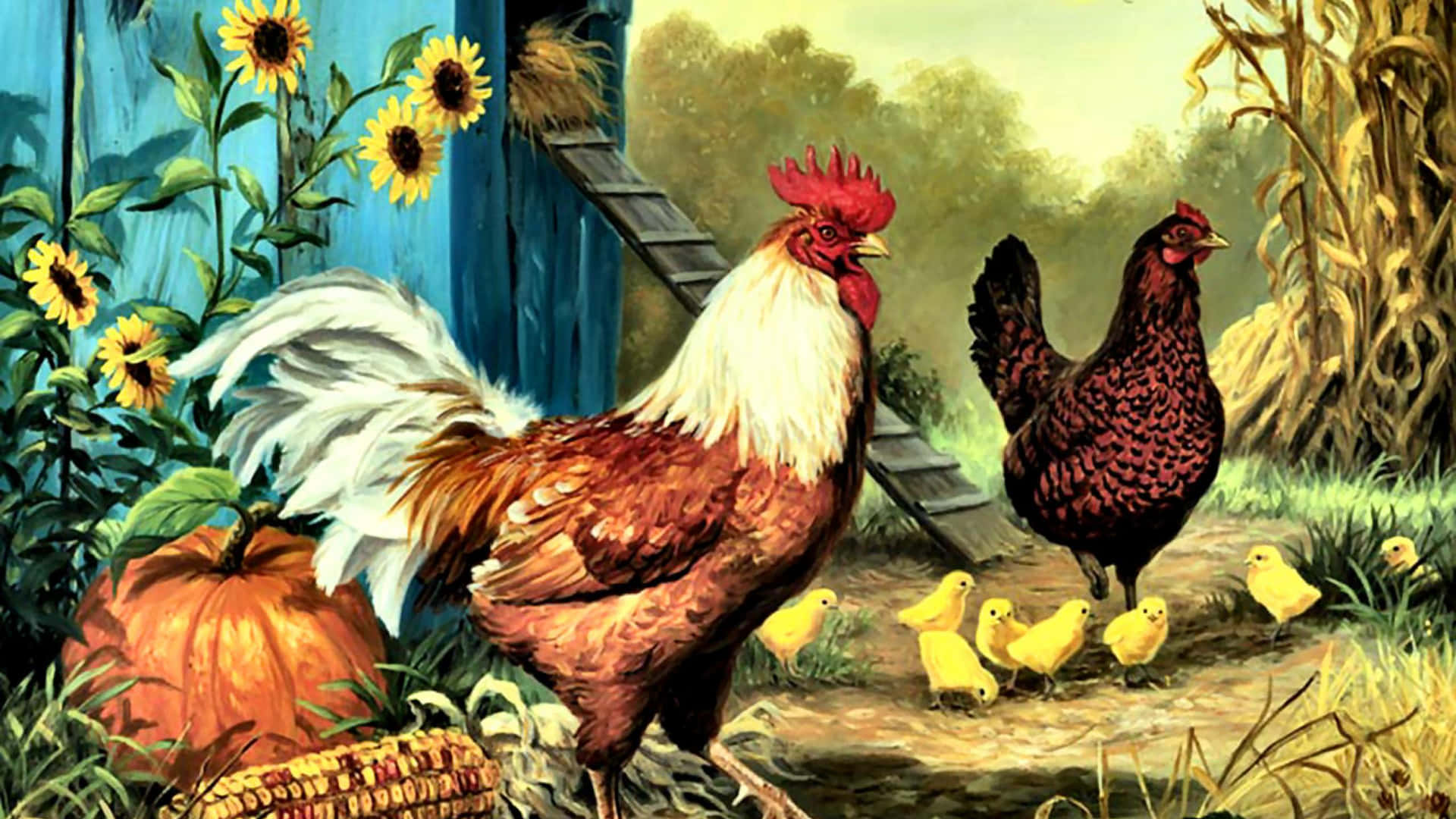 Chicken Background Wallpaper