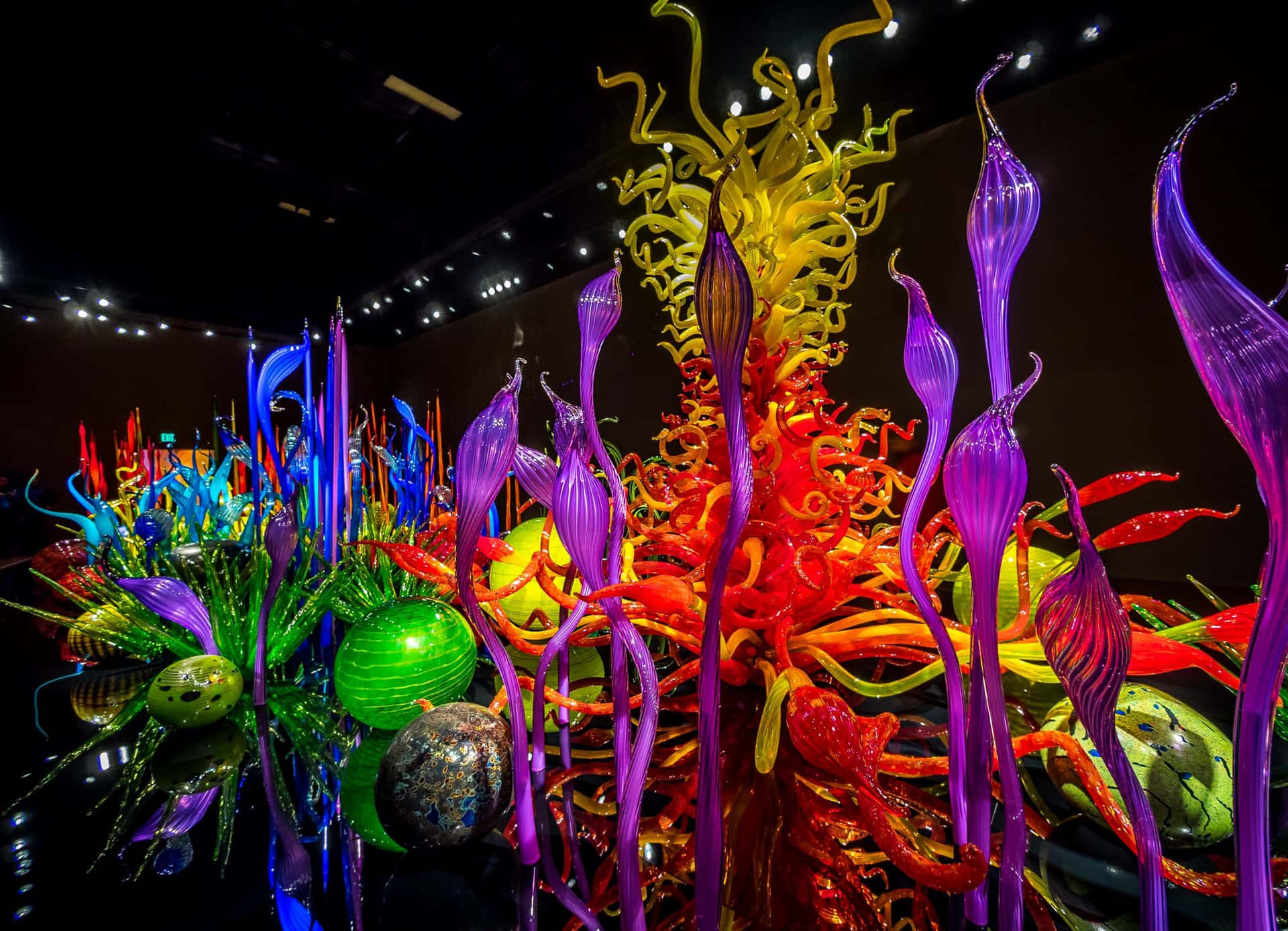 Chihuly Garden And Glass Wallpaper