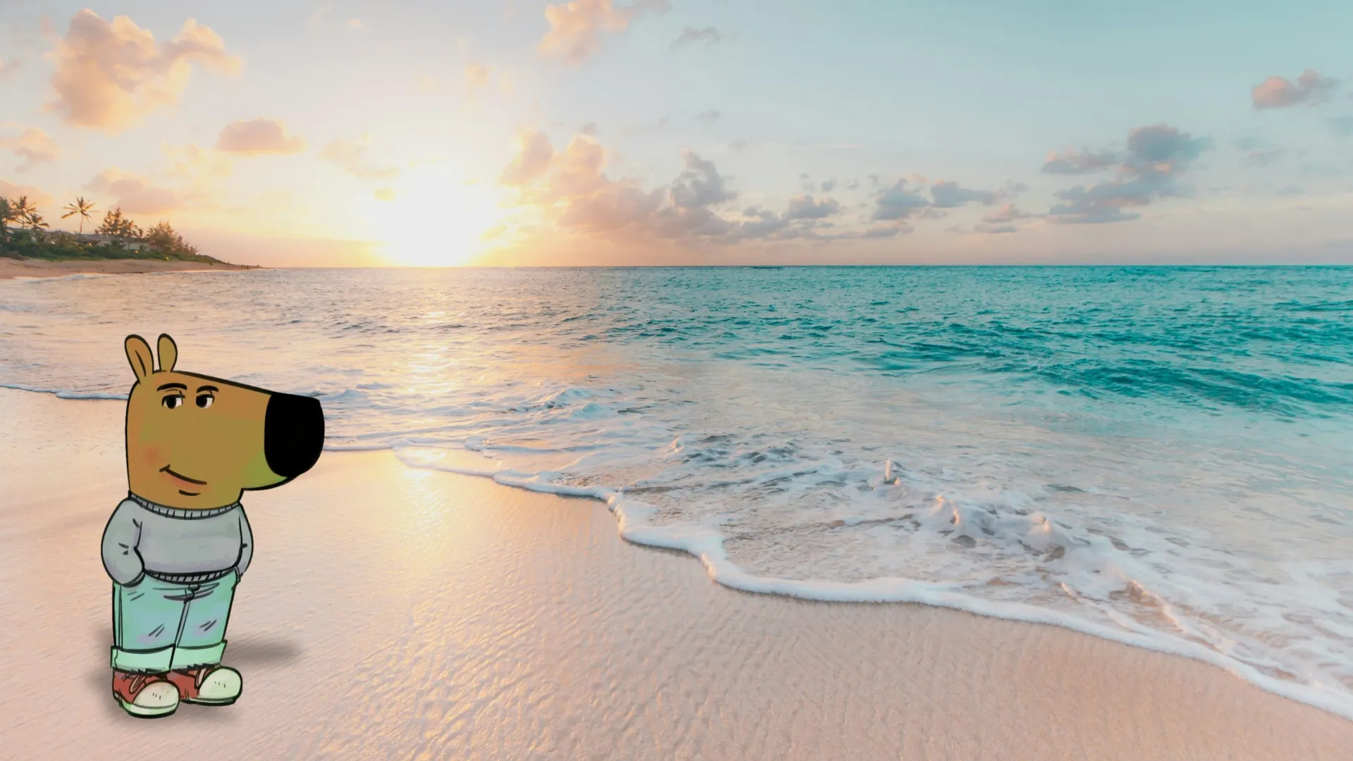 Chill Guy Wallpapers