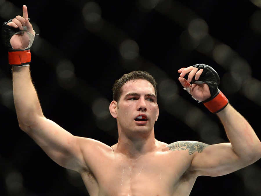 Chris Weidman Bilder