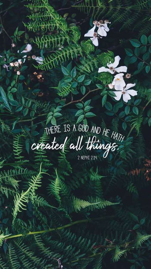 Text overlay on ferns and flowers reads 'There is a God and He hath created all things.' — Christian Quotes Wallpaper