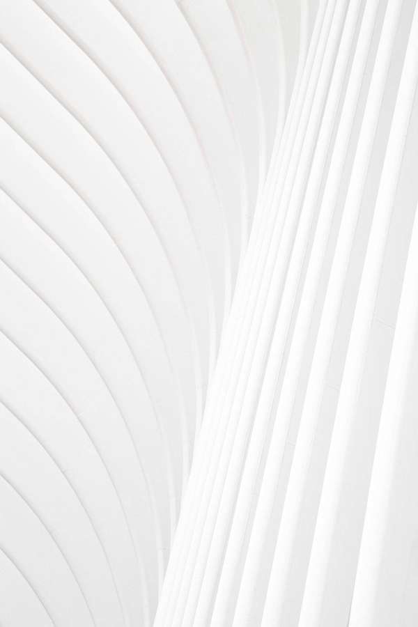 Abstracte witte gebogen en rechte lijnen die een minimalistisch geometrisch patroon vormen. — Clean Achtergronden
