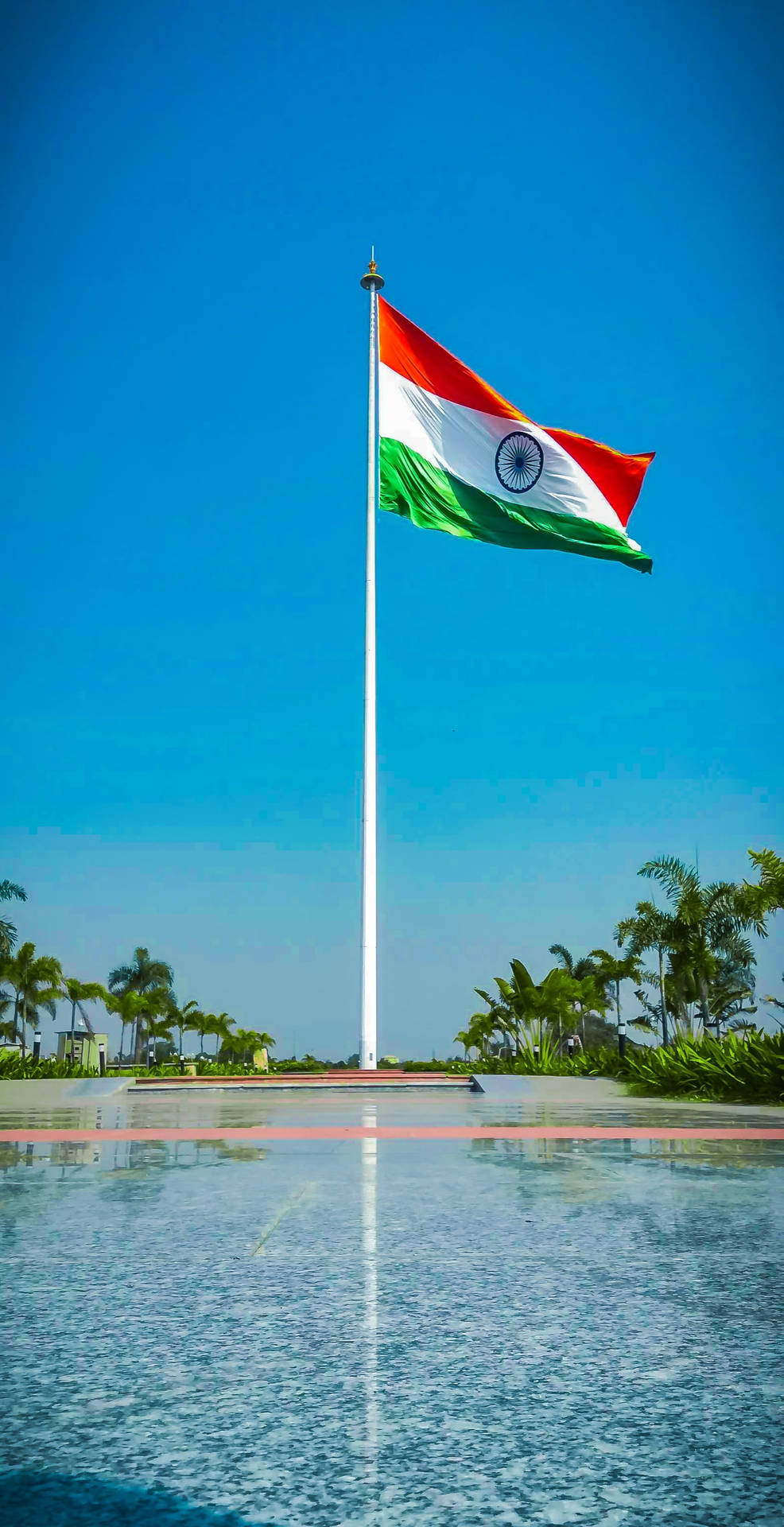 India flag waving in breeze over water pool with palm trees — Clear Wallpaper