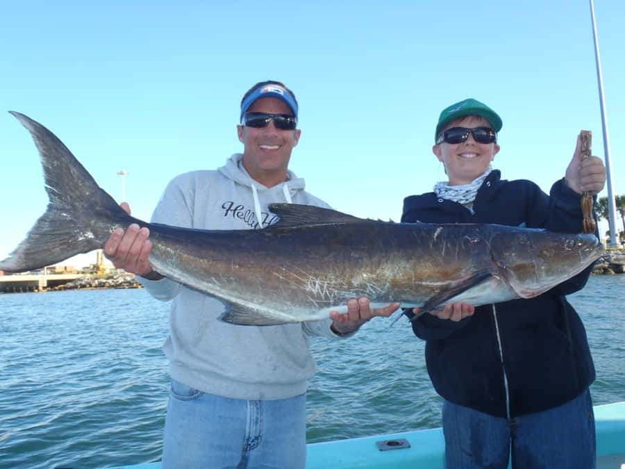 Cobia Bakgrunnsbildet