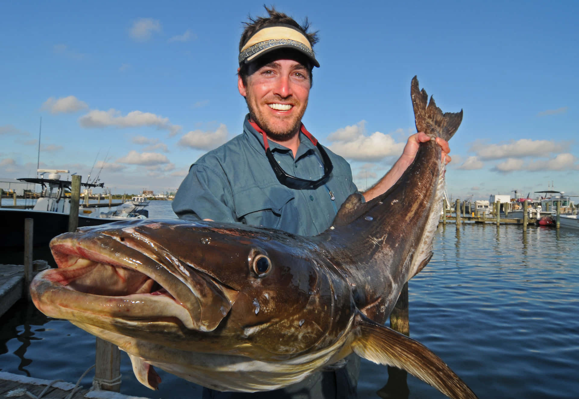 Cobia Fond d'écran