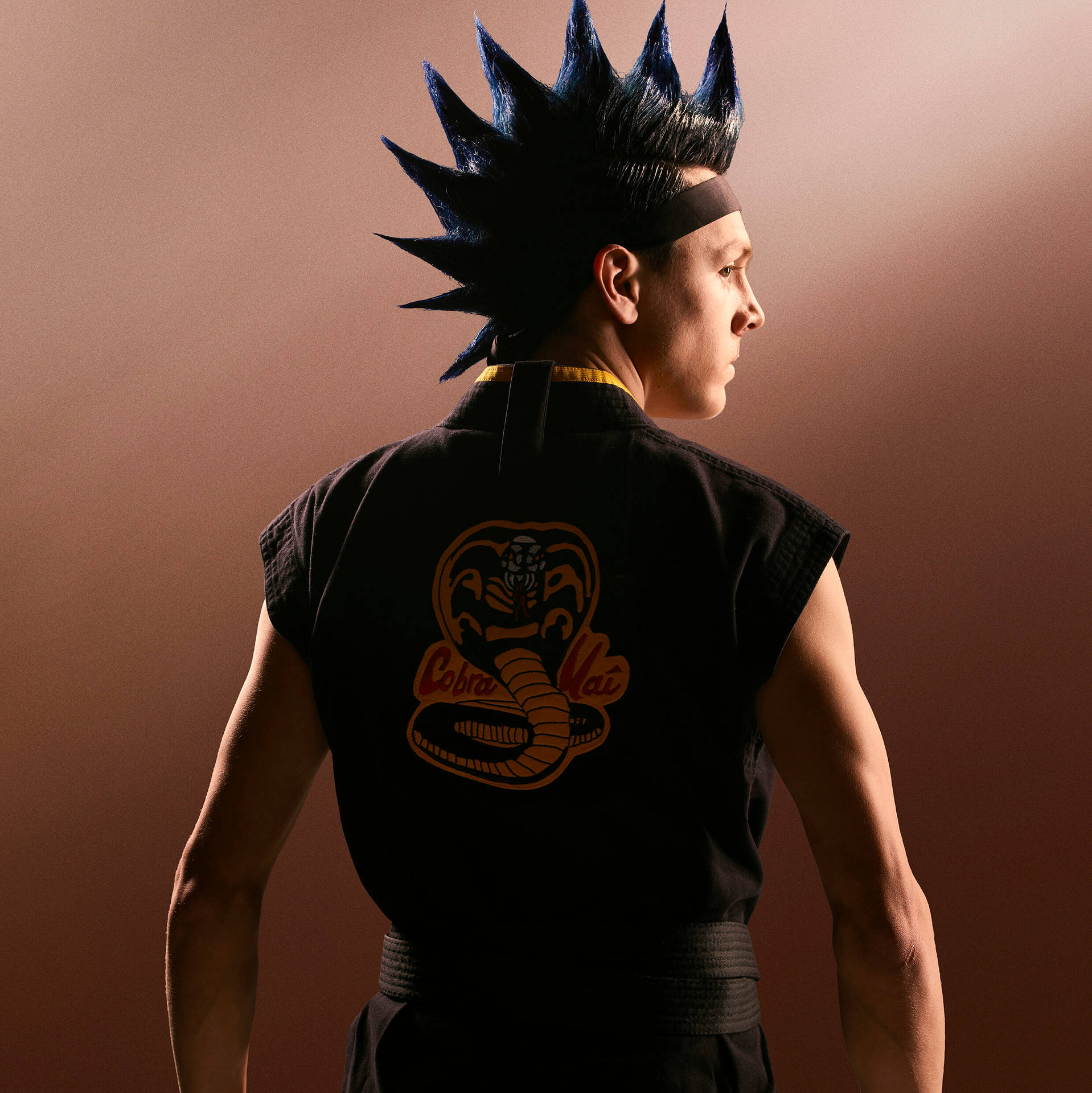 Cobra Kai Achtergrond