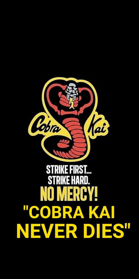 Cobra Kai Bakgrund
