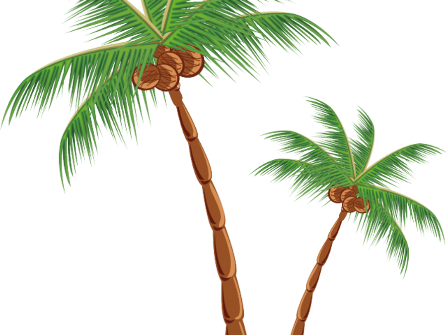 Coconut Png