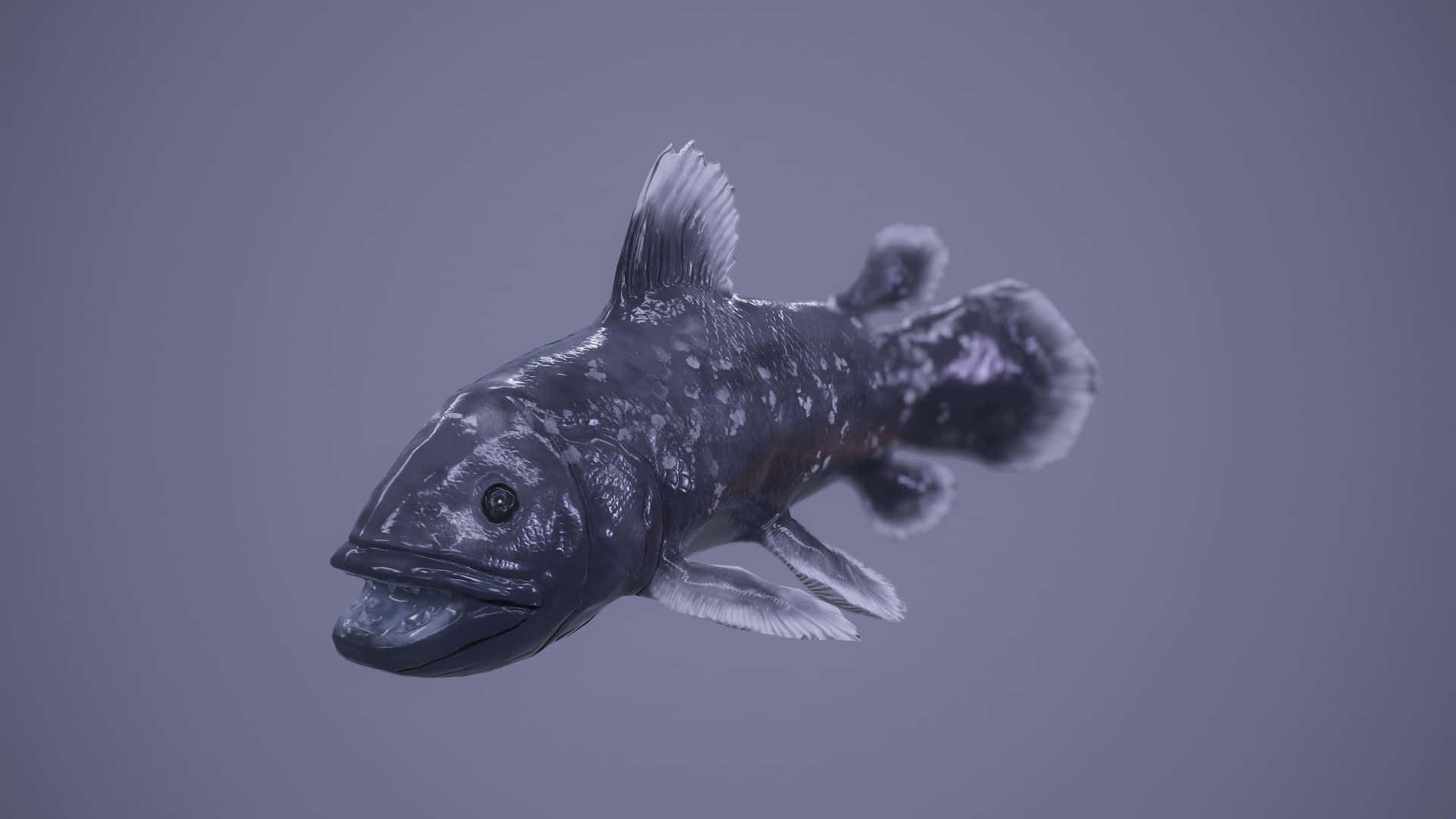 Coelacanth Wallpaper