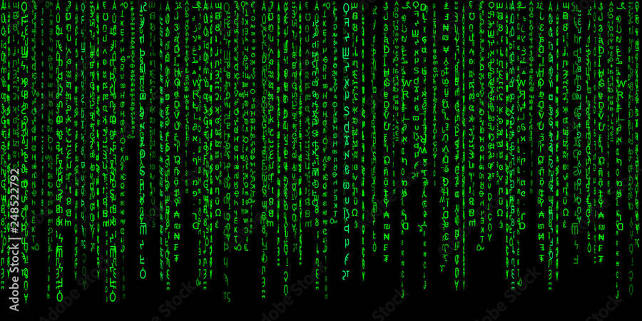 Grön digital kod faller som regn på en svart skärm. — Datorskärm bilder Bakgrundsbilder