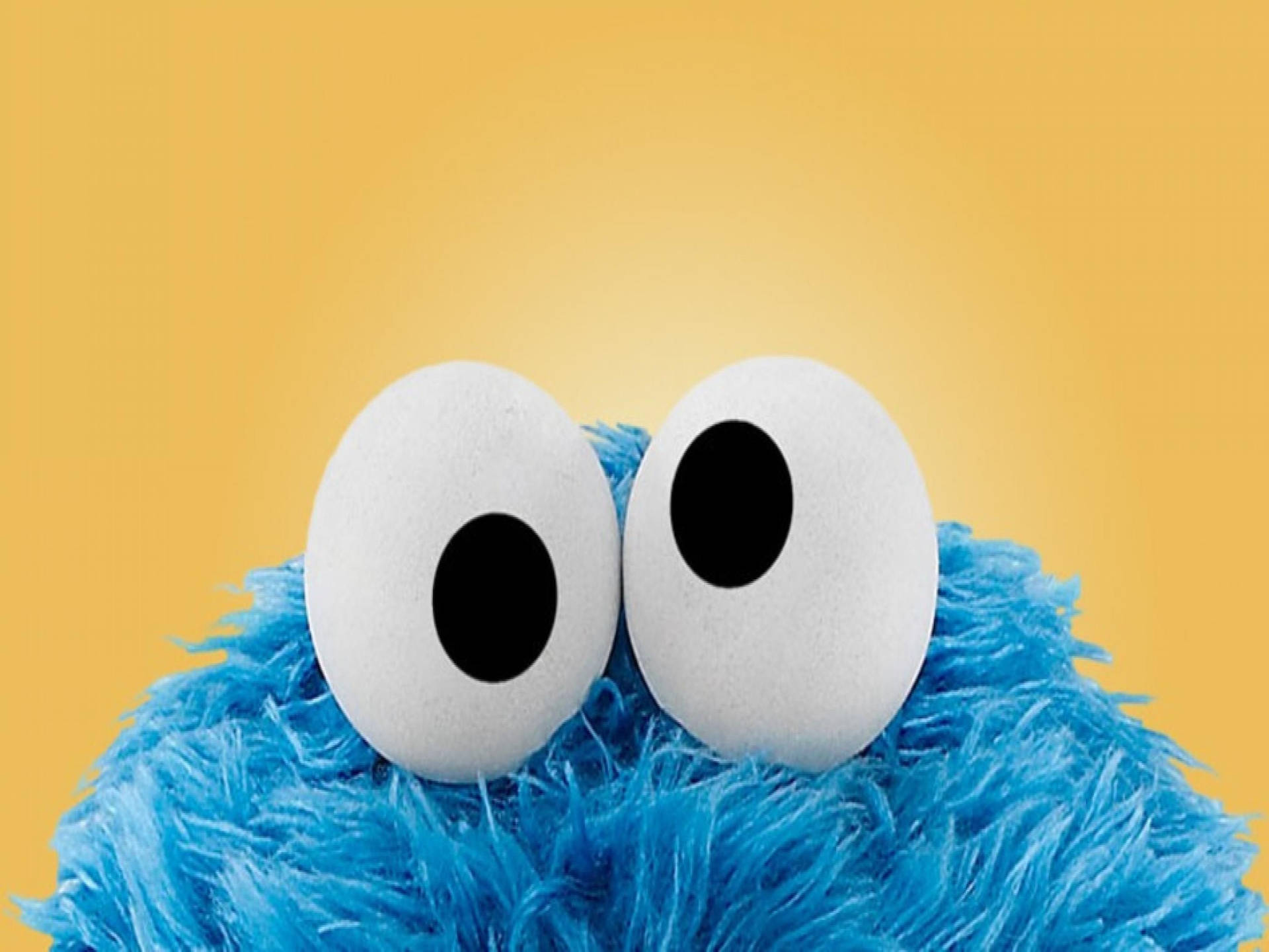 Cookie Monster Wallpaper Images