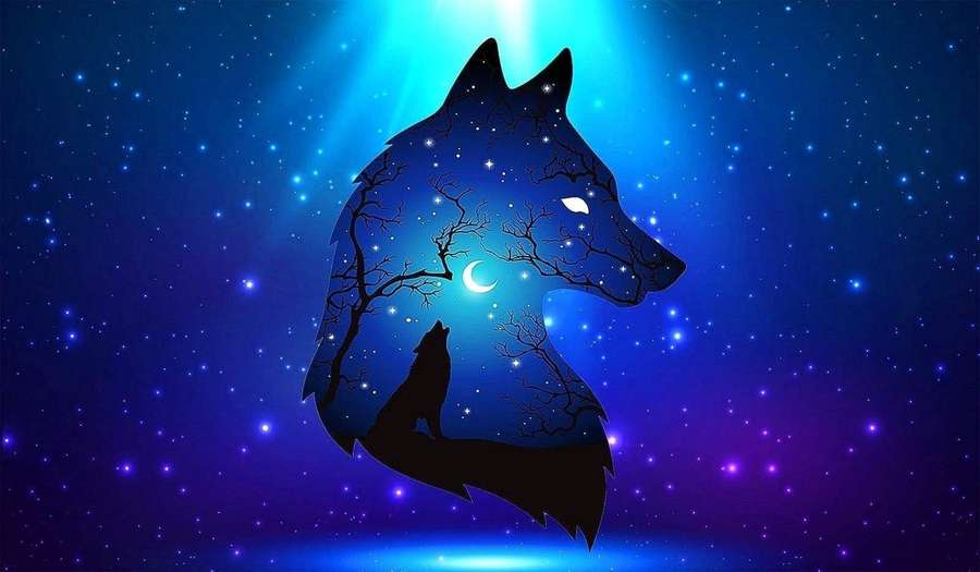 Suden siluetti, jossa on puun oksia ja kuu sisällä, hehkuen tähtitaivasta vasten. — Cool Black Wolf Taustakuvat