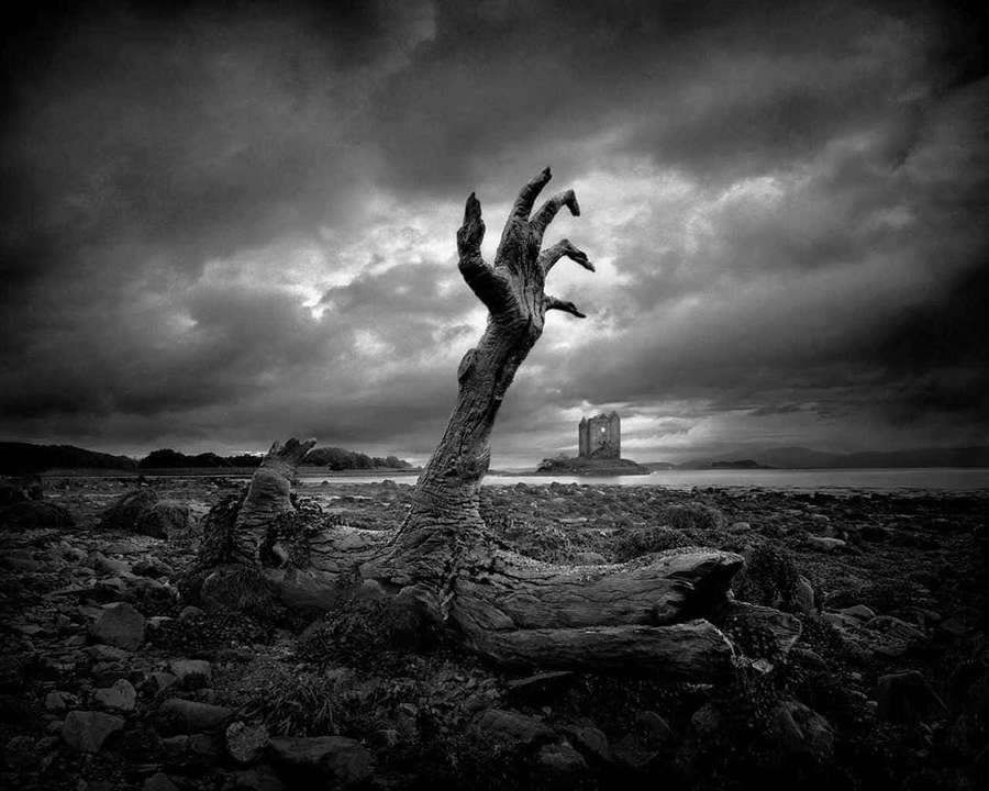 A twisted tree trunk resembling a hand reaching toward a castle across the water under dark clouds. — Cool Dark Desktop Wallpaper