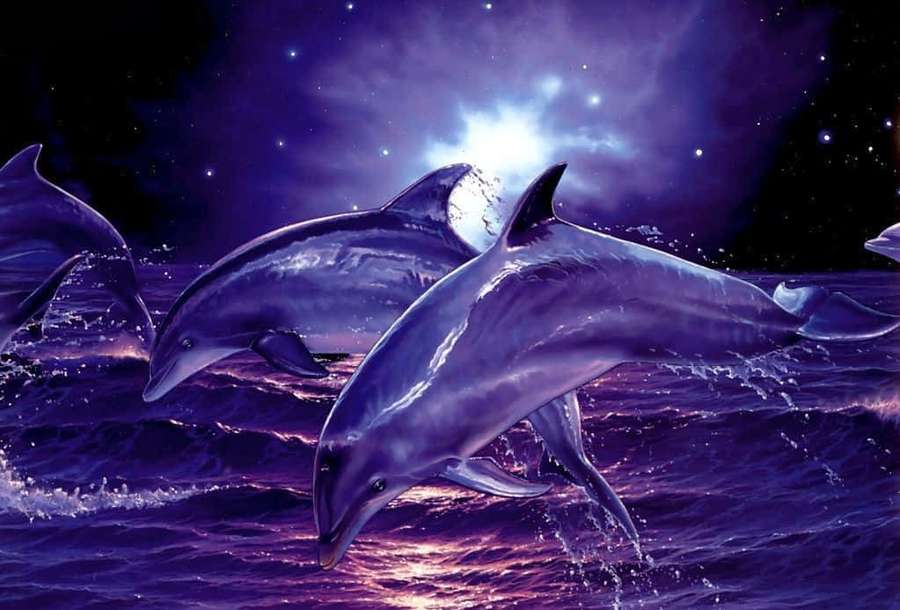 Dolphins leap through purple ocean waves under a starry night sky with a glowing moon. — Cool Dolphin Wallpaper