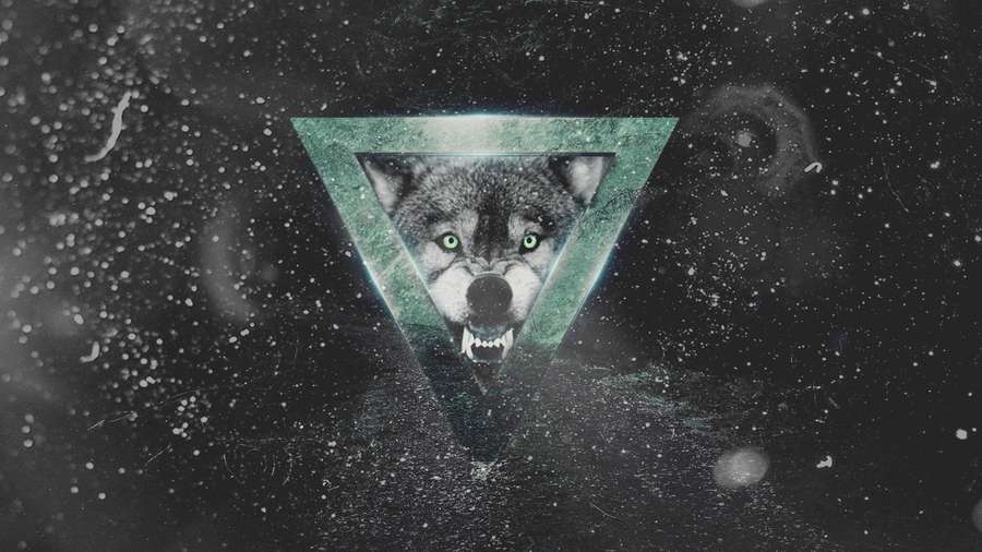 Cool Monochrome Galaxy With Angry Wolf — Cool Galaxy Wolf Wallpaper