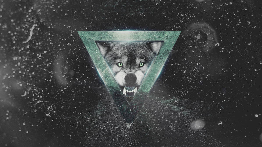 Cool Galaxy Wolf Pictures Wallpaper