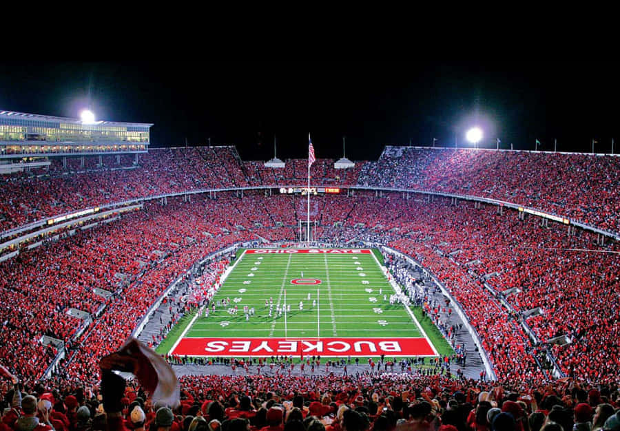 Cool Ohio State Fond d'écran