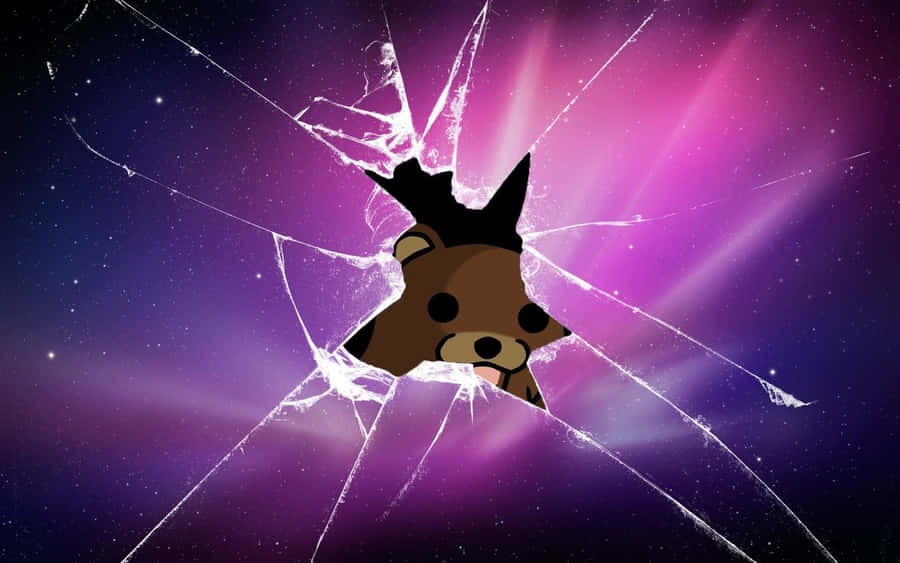 Cartoon bear looking through broken glass at a purple starry sky. — Cool Pfp Wallpaper