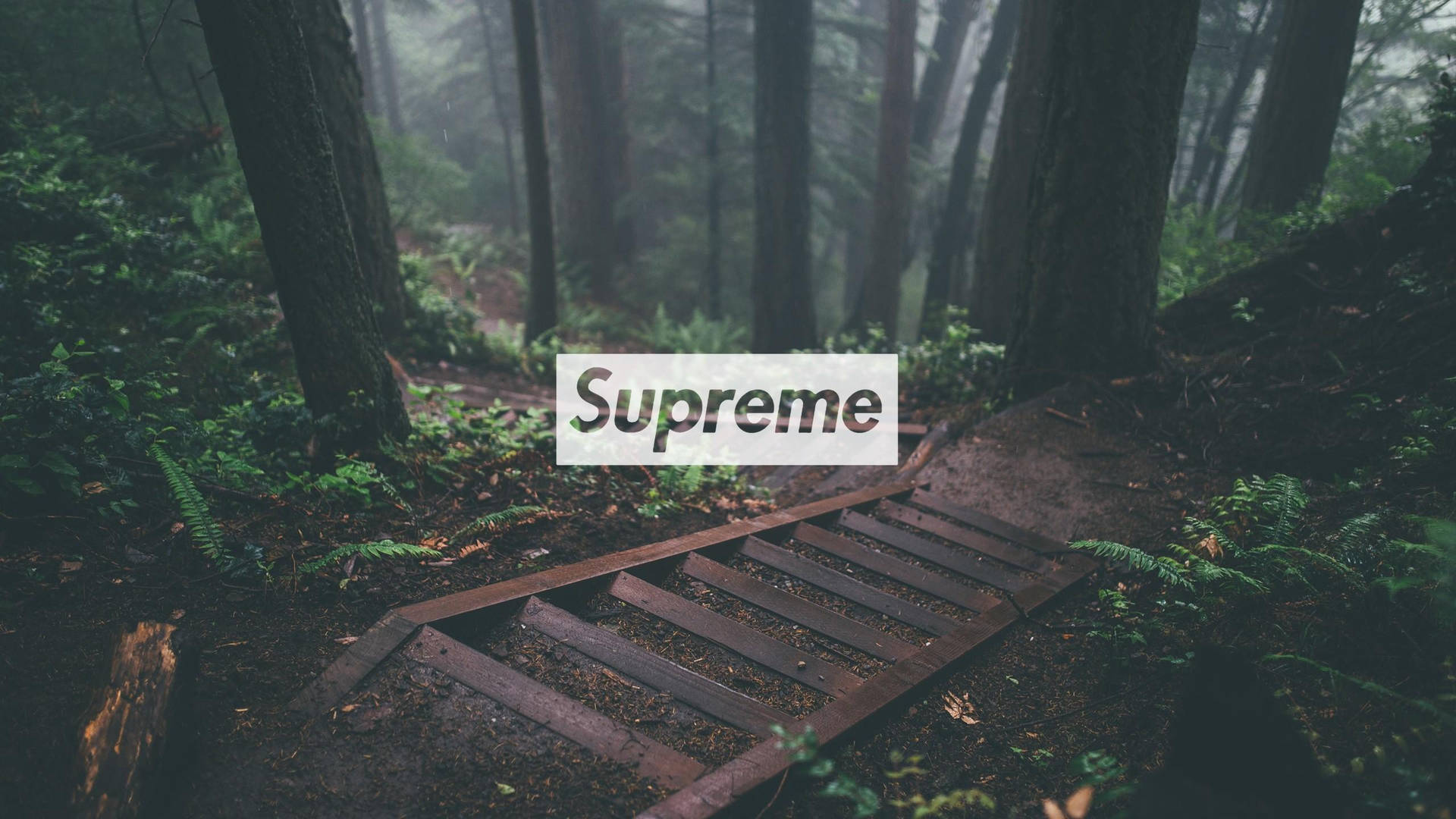 Cool Supreme Pictures Wallpaper