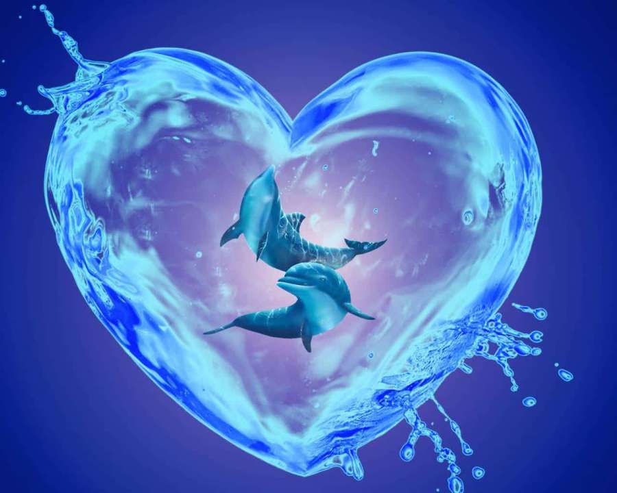 Zwei Delfine schwimmen in einer herzförmigen Wasserblase. — Cooler Delphin Wallpaper