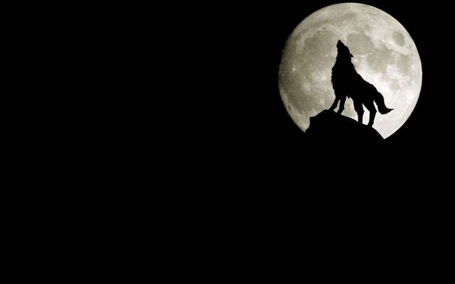 Wolf heult bei Vollmond in dunkler Nacht — Cooler Schwarzer Wolf Wallpaper