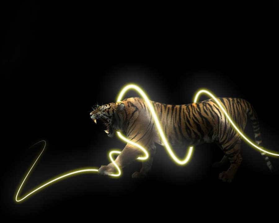 Ein Tiger brüllt mit glühenden Lichtspuren, die um ihn herumwirbeln. — Cooler Tiger Wallpaper