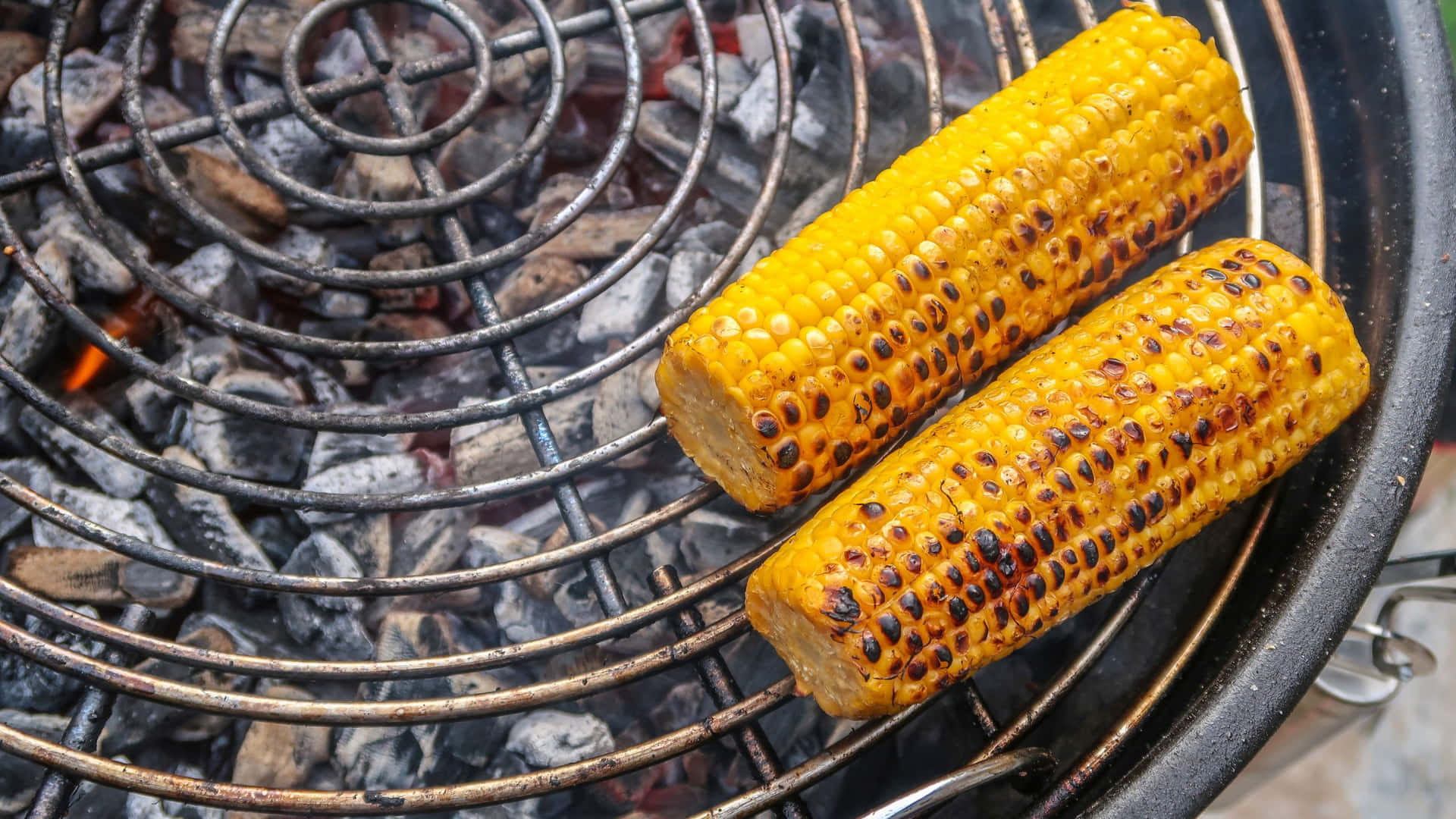 Grillad majskolv med förkolnade korn på en kolgrill. — Majs bakgrund Bakgrundsbilder