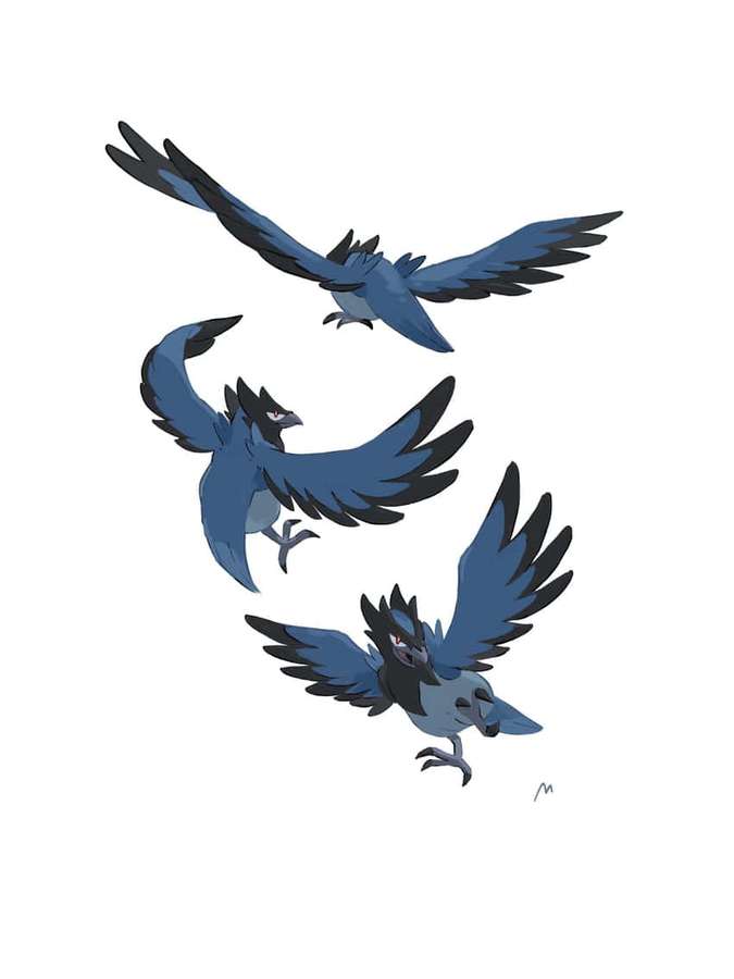 Three blue and black birds in flight against a white background. — Corvisquire Picture